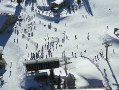 Video Wolf Creek