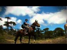 Video Las Araucarias/Llaima – Vilcún
