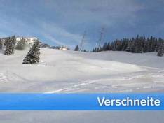 Video Schilt – Mollis